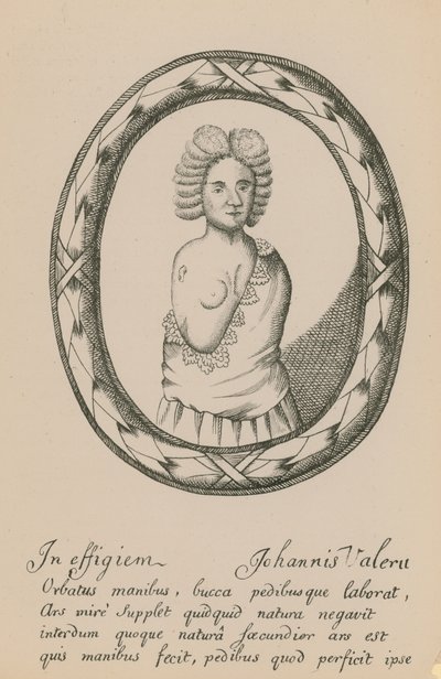 An Effigy of Johannis Valeru by English School