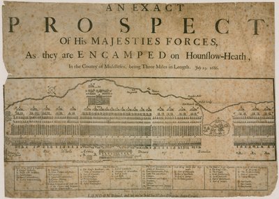 An Exact Prospect of His Majesty