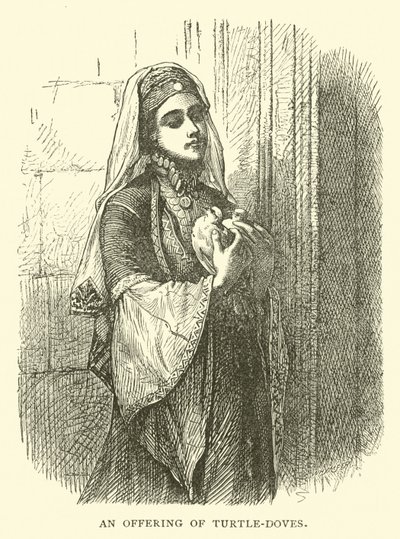 An offering of Turtle-doves by English School