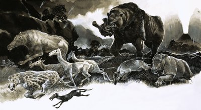 Animals from the Oligocene Age by English School