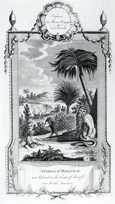 Animals of Maragnan, illustration taken from Moore