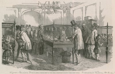 Annual Pigeon Show of the Philio-Peristeron Society by English School