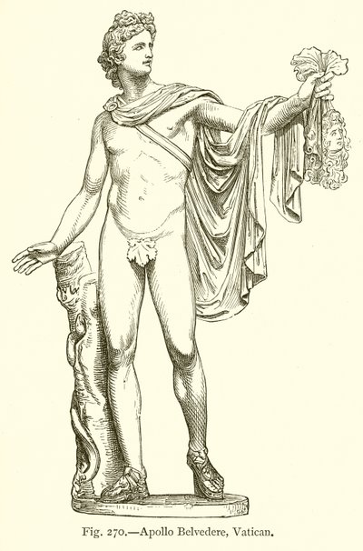 Apollo Belvedere, Vatican by English School