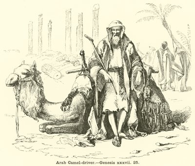Arab Camel-driver by English School