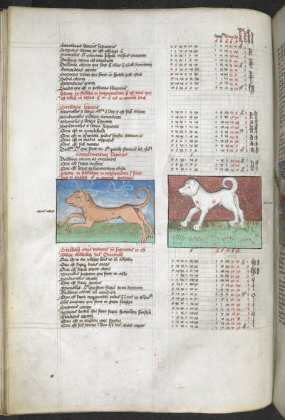 Canis maior and Canis minor depicted as dogs 