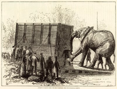 Attempt to Remove Jumbo, the Great Elephant, from the Zoological Gardens by English School