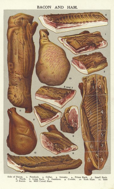 Bacon and ham by English School