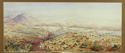 Battle of Tamai, Sudan 1884 by English School