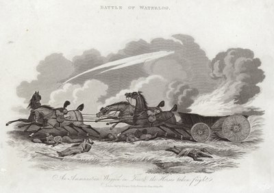 Battle of Waterloo by English School