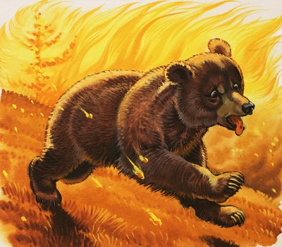 Bear Cub Escaping Forest Fire by English School