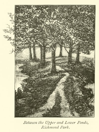 Between the Upper and Lower Ponds, Richmond Park by English School