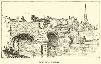 Bishop