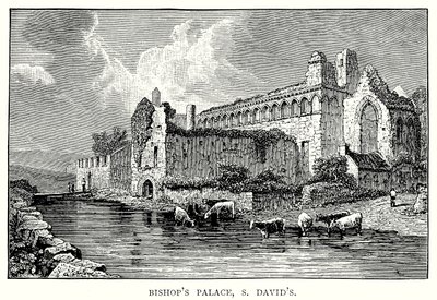 Bishop
