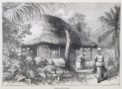 Black Habitations, from 