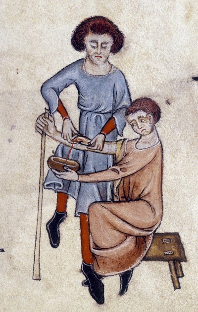 Blood Letting, from the Luttrell Psalter, c.1325-35 by English School