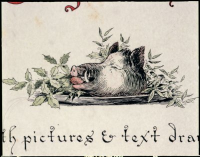 Boar