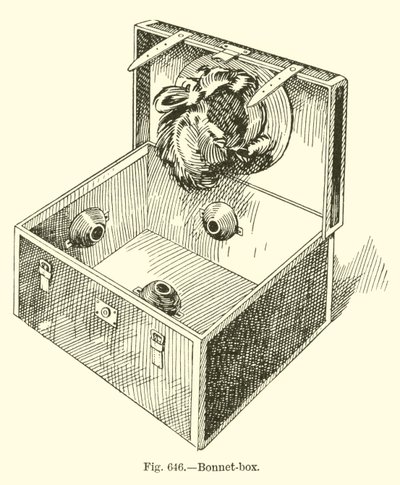 Bonnet-box by English School