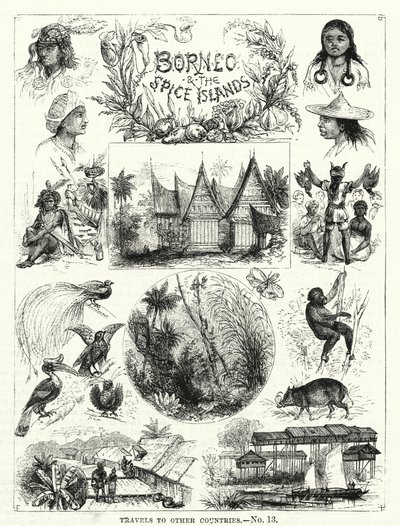 Borneo and the Spice Islands by English School
