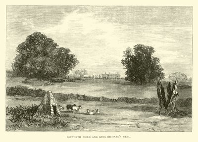 Bosworth Field and King Richard