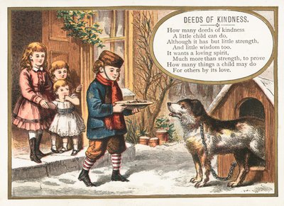 Boy feeding dog in kennel by English School