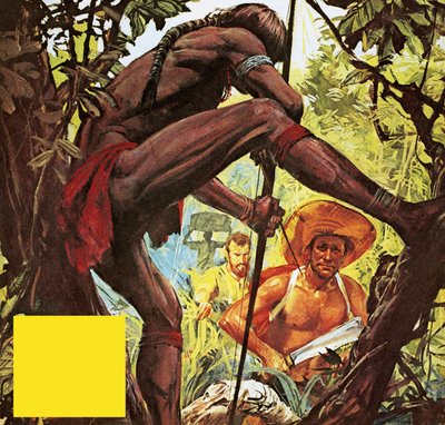 Brazil: The Country Which Hacked a City from the Jungle by English School