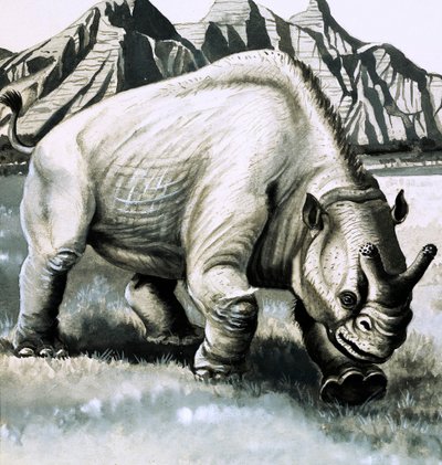 Brontotherium from the Oligocene Age by English School