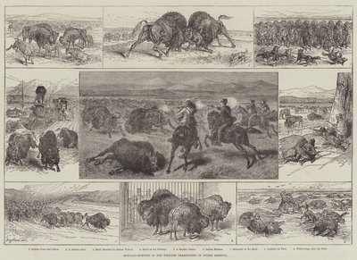 Buffalo-Hunting in the Western Territories of North America by English School