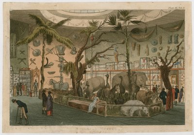 Bullocks Museum by English School