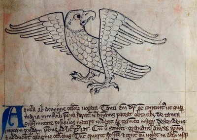 Eagle, from Bestiary by English School