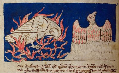 Phoenix, from Bestiary by English School