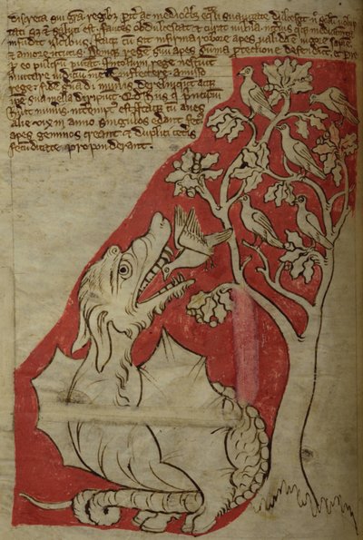The Perindens Tree, from Bestiary by English School