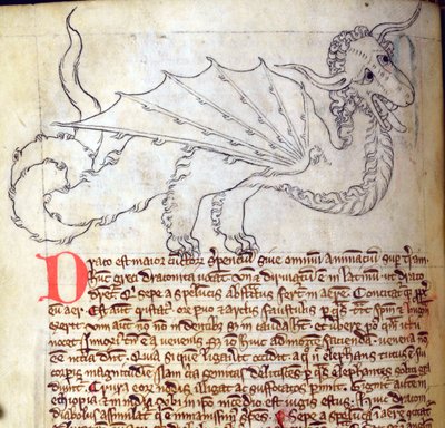 Dragon, from Bestiary by English School