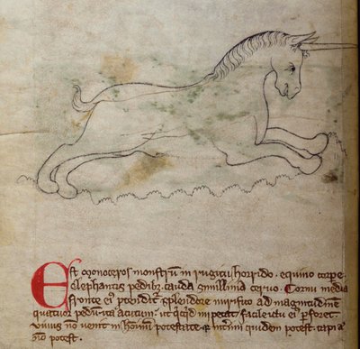 Monoceros, from Bestiary by English School
