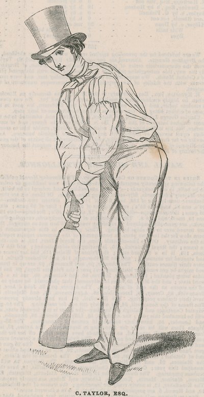 C. Taylor by English School