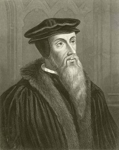 Calvin by English School