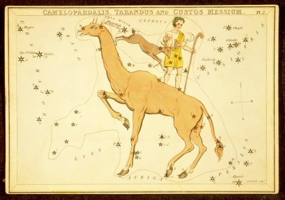 Camelopardalis, Tarandus and Custos Messium, pub. 1825 by English School
