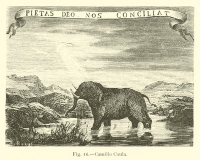 Camillo Caula by English School