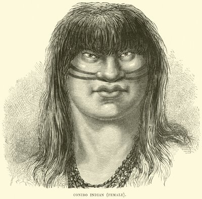 Canibo Indian, female by English School