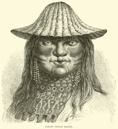 Canibo Indian, male by English School