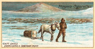 Captain Oates Exercising a Siberian Pony by English School
