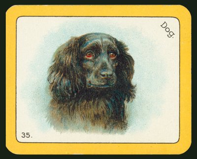 Card from The Black Cat Greyhound Racing Game by English School