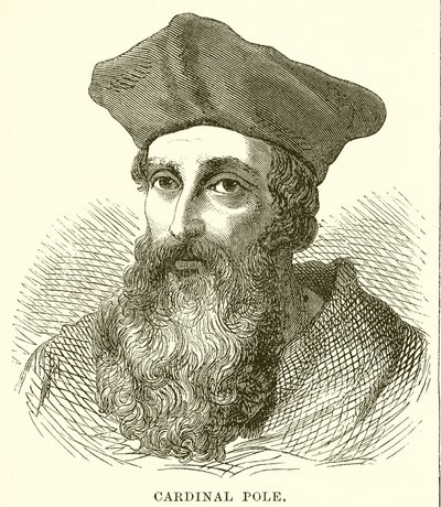 Cardinal Pole by English School