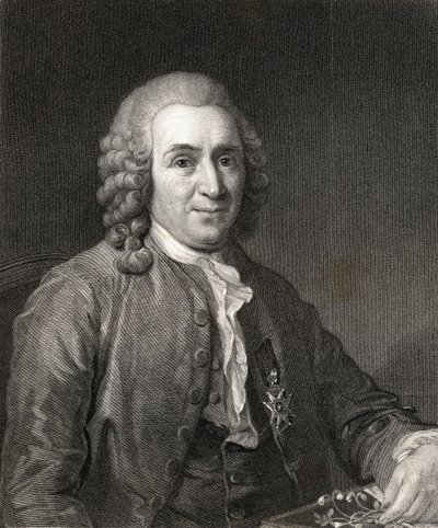 Carl von Linne or Linnaeus from Gallery of Portraits, published in 1833 by English School