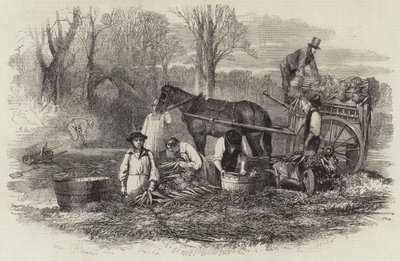 Carrots for the London market by English School