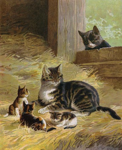 Cat with her kittens in a barn by English School