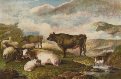 Cattle, Early Morning by English School