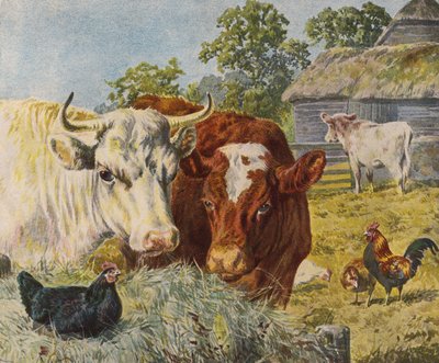 Cattle and Chickens by English School