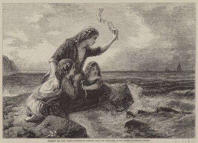 Caught by the Tide by English School