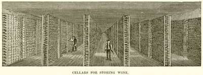 Cellars for Storing Wine by English School