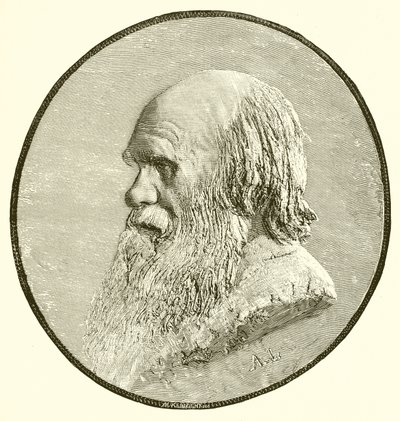 Charles Darwin by English School